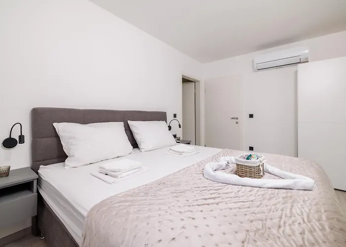 فيلة Amnis Drivenik