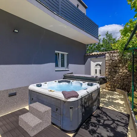 Villa Amnis Drivenik